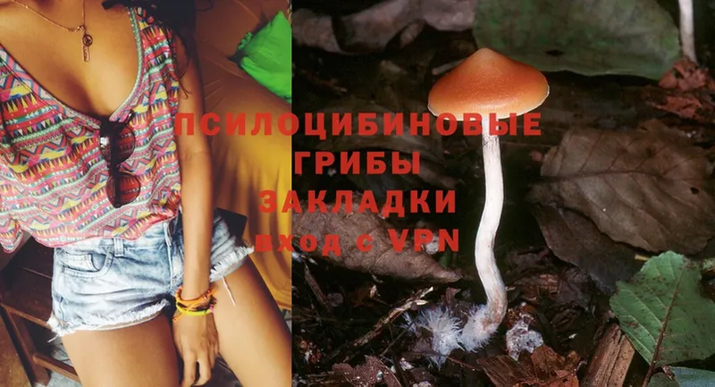 Псилоцибиновые грибы Magic Shrooms  Красногорск 